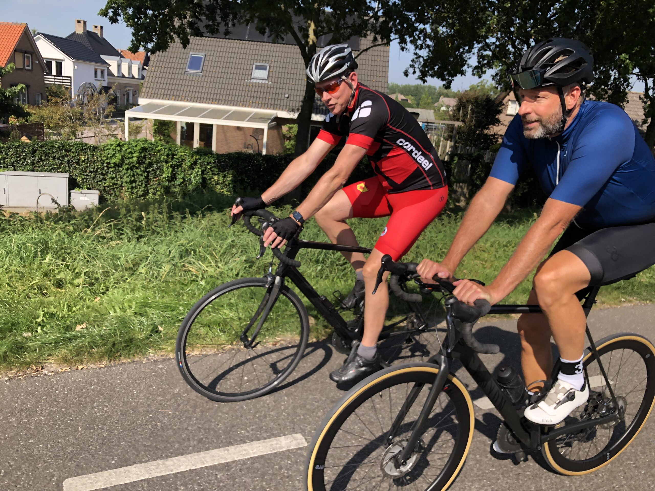 Wedergeboorte